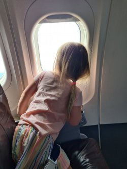 20220909_130950.jpg 20220909_130950.jpg