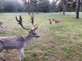 26AB8CD5-C91B-4B81-9EF9-82F7518A5DDB.jpeg 26AB8CD5-C91B-4B81-9EF9-82F7518A5DDB.jpeg