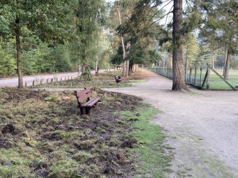 988E3C59-32F5-4A74-BA56-4D1D29003B2F.jpeg 988E3C59-32F5-4A74-BA56-4D1D29003B2F.jpeg