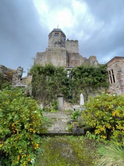 672DA012-8BFB-4EC2-9A43-BB10B6C25057.jpeg 672DA012-8BFB-4EC2-9A43-BB10B6C25057.jpeg