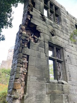 AACFC205-E68B-4284-92AF-3555116542A6.jpeg AACFC205-E68B-4284-92AF-3555116542A6.jpeg