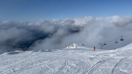 FC97801F-B9BD-4BF6-BB51-D52C31907036.jpeg FC97801F-B9BD-4BF6-BB51-D52C31907036.jpeg