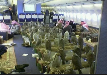 1665813080786.png 1665813080786.png