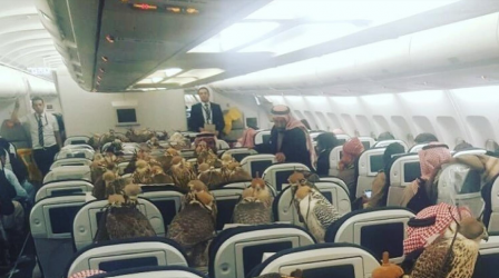 1665813152480.png 1665813152480.png