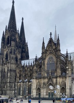 432F48A7-6BCB-4D9F-B9BB-CD9F8C0D91E3.jpeg 432F48A7-6BCB-4D9F-B9BB-CD9F8C0D91E3.jpeg