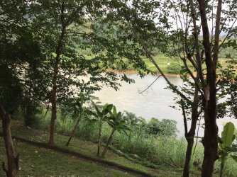 53DE8CB8-C538-4B9B-ACF4-645E00238FD6.jpeg 53DE8CB8-C538-4B9B-ACF4-645E00238FD6.jpeg