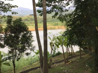 B11C3A64-E7B3-432C-99D2-FF9823B4AC95.jpeg B11C3A64-E7B3-432C-99D2-FF9823B4AC95.jpeg