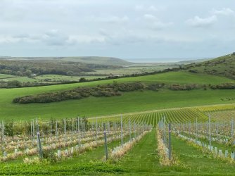 1699CEFF-CB77-4A60-B0CD-5E068DBC768C.jpeg 1699CEFF-CB77-4A60-B0CD-5E068DBC768C.jpeg