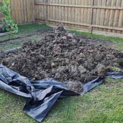 IMG_20221015_183212_980.jpg IMG_20221015_183212_980.jpg