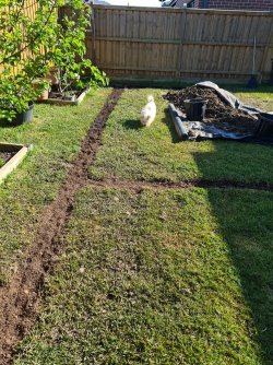 20221019_092804.jpg 20221019_092804.jpg