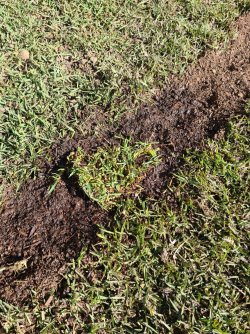 20221019_092801.jpg 20221019_092801.jpg