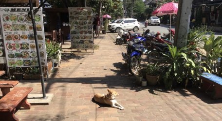 DBDDDF12-D95B-43BF-B2E9-75489CE78CBD.jpeg DBDDDF12-D95B-43BF-B2E9-75489CE78CBD.jpeg