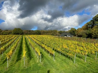 31455268-8A9D-490E-8A52-19C76EDFDA81.jpeg 31455268-8A9D-490E-8A52-19C76EDFDA81.jpeg