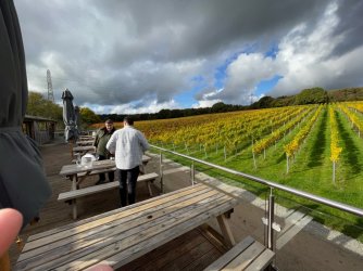 56EED9FD-D4C5-468E-924A-65040F6C7461.jpeg 56EED9FD-D4C5-468E-924A-65040F6C7461.jpeg