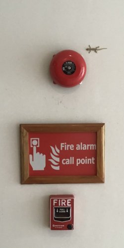 86AB98C0-EB40-4701-B8E4-9D5B13CBC384.jpeg 86AB98C0-EB40-4701-B8E4-9D5B13CBC384.jpeg