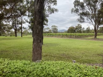 2517E2E2-A963-466E-977F-E42300251CD9.jpeg 2517E2E2-A963-466E-977F-E42300251CD9.jpeg