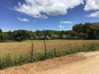 1654E781-A199-4292-A94B-B64CC2518149.jpeg 1654E781-A199-4292-A94B-B64CC2518149.jpeg