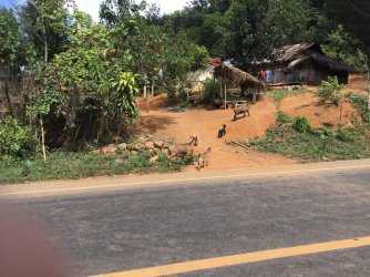 38C633A8-73CC-4942-8367-6512A3122691.jpeg 38C633A8-73CC-4942-8367-6512A3122691.jpeg