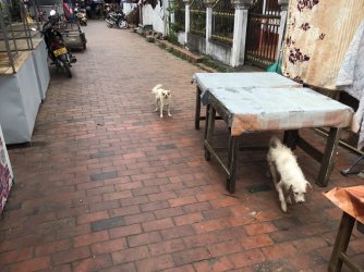 6016B1C2-0D84-44C9-A141-C4675AB4CAA4.jpeg 6016B1C2-0D84-44C9-A141-C4675AB4CAA4.jpeg