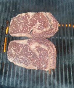 F6535758-5BA9-45AD-AB22-90B9E4C6FC7D.jpeg F6535758-5BA9-45AD-AB22-90B9E4C6FC7D.jpeg