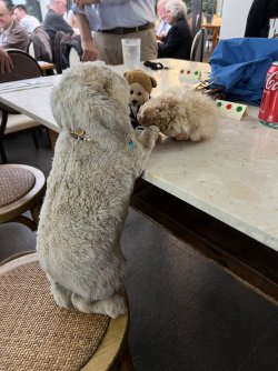 CF3E3C43-3DB4-4B62-852C-4C0668FD310A.jpeg CF3E3C43-3DB4-4B62-852C-4C0668FD310A.jpeg