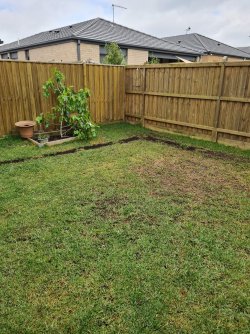 20221025_101216.jpg 20221025_101216.jpg