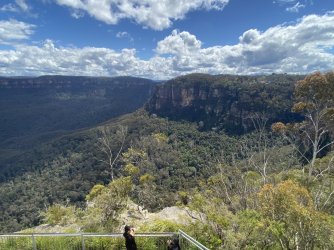 A1945496-776D-4EA4-A5EC-E46E5952452F.jpeg A1945496-776D-4EA4-A5EC-E46E5952452F.jpeg