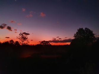 1667002338647.png 1667002338647.png