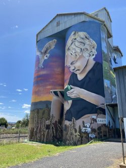 287469D7-CB7B-4441-B447-303D1977AEC2.jpeg 287469D7-CB7B-4441-B447-303D1977AEC2.jpeg