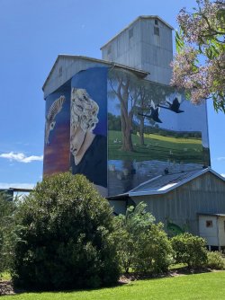 E30A05D0-7D13-44A9-8A56-602BA8B3E4BD.jpeg E30A05D0-7D13-44A9-8A56-602BA8B3E4BD.jpeg