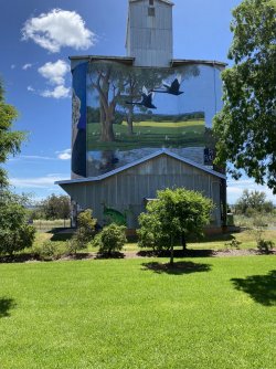 8356C4AB-4362-4D0D-85C5-15DFB91CB479.jpeg 8356C4AB-4362-4D0D-85C5-15DFB91CB479.jpeg