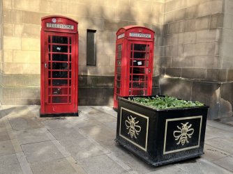 7474E07A-A39B-401A-AEAA-63499A9EFE52.jpeg 7474E07A-A39B-401A-AEAA-63499A9EFE52.jpeg