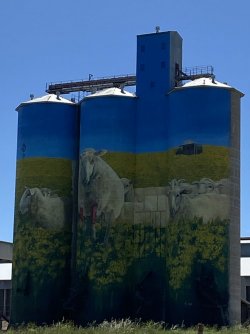 B2385E13-016F-4584-8881-6C43F28B7EC0.jpeg B2385E13-016F-4584-8881-6C43F28B7EC0.jpeg