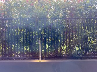 218E24FF-4BA0-4D5D-BEE8-73D38836ECC1.jpeg 218E24FF-4BA0-4D5D-BEE8-73D38836ECC1.jpeg