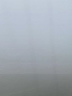 44E69948-4326-4F3D-ADE9-CED6BBB930C1.jpeg 44E69948-4326-4F3D-ADE9-CED6BBB930C1.jpeg