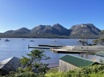 7383B6A5-404D-4339-B882-EAA6F639DC43.jpeg 7383B6A5-404D-4339-B882-EAA6F639DC43.jpeg