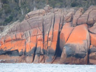 40B6190F-8048-472F-B8E3-898F2E006B8A.jpeg 40B6190F-8048-472F-B8E3-898F2E006B8A.jpeg