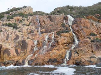 AC1156DD-7A9E-4DC0-B734-38F98E4384BC.jpeg AC1156DD-7A9E-4DC0-B734-38F98E4384BC.jpeg