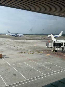 15896534-A3BD-4BE8-A97A-76DEC86BCF49.jpeg 15896534-A3BD-4BE8-A97A-76DEC86BCF49.jpeg