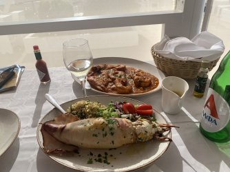 B71DA3D0-1624-40EA-BFAA-837A852C2EFA.jpeg B71DA3D0-1624-40EA-BFAA-837A852C2EFA.jpeg