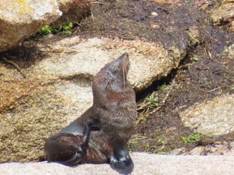 IMG_0876.JPG IMG_0876.JPG