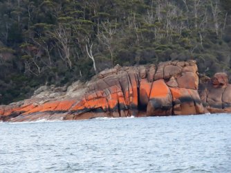 IMG_0924.JPG IMG_0924.JPG