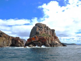 IMG_0977.JPG IMG_0977.JPG