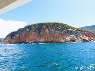 IMG_1008.JPG IMG_1008.JPG