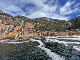 IMG_8781.JPG IMG_8781.JPG