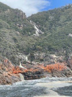 IMG_8782.JPG IMG_8782.JPG