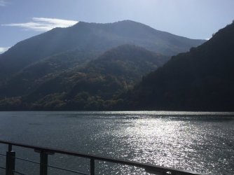 8E4A4E0B-D5F6-42E3-9BFB-8189D96915E4.jpeg 8E4A4E0B-D5F6-42E3-9BFB-8189D96915E4.jpeg