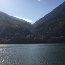 8CAE3340-AF38-461F-A4AD-C0AD348B34E3.jpeg 8CAE3340-AF38-461F-A4AD-C0AD348B34E3.jpeg