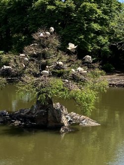 153952A8-2EC8-4463-8C64-5EB22550780B.jpeg 153952A8-2EC8-4463-8C64-5EB22550780B.jpeg