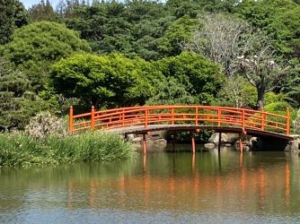 9C4DC40C-D2C8-47B9-A66B-640E09EF9882.jpeg 9C4DC40C-D2C8-47B9-A66B-640E09EF9882.jpeg